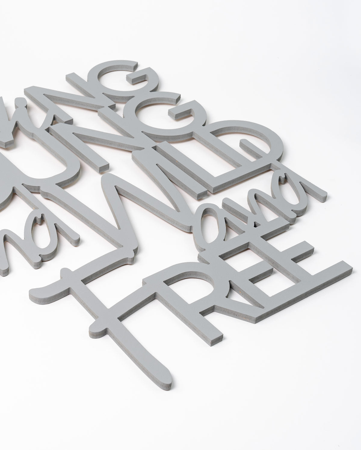 Scritta in legno Young, wild and free