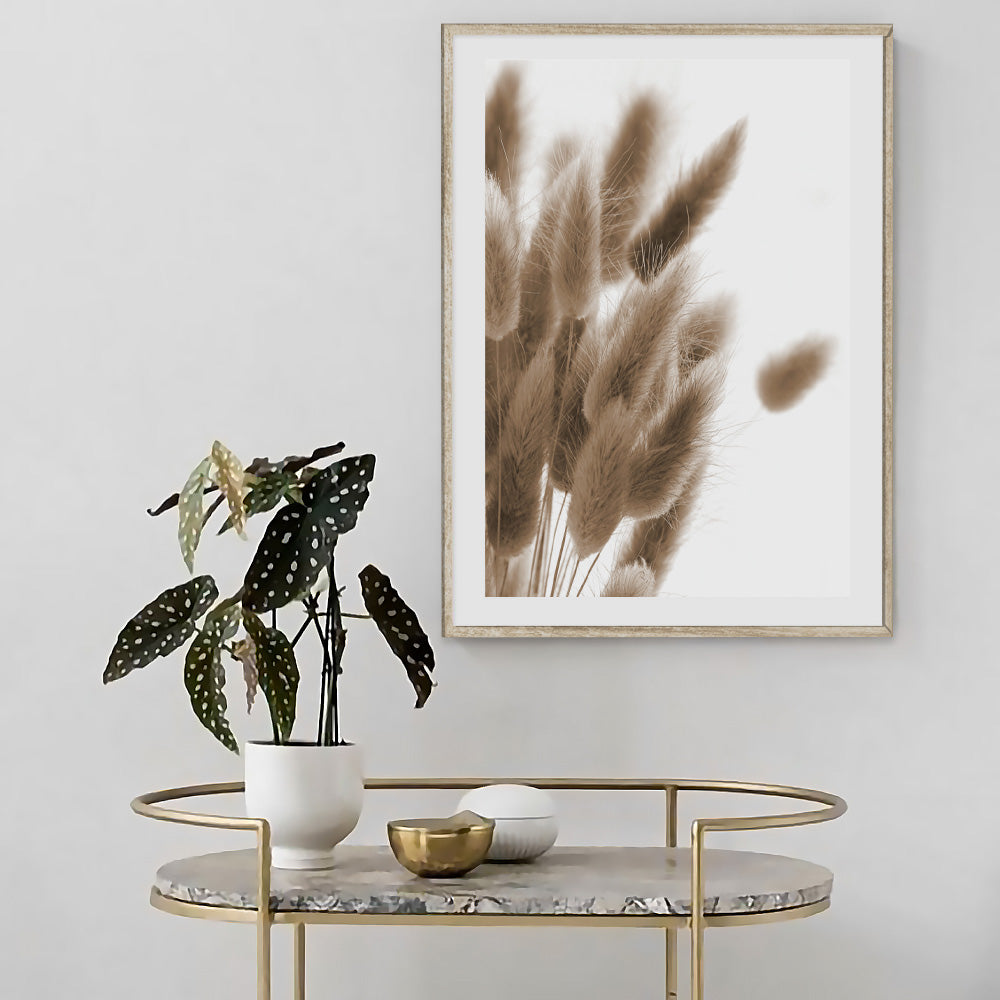 Poster Plume