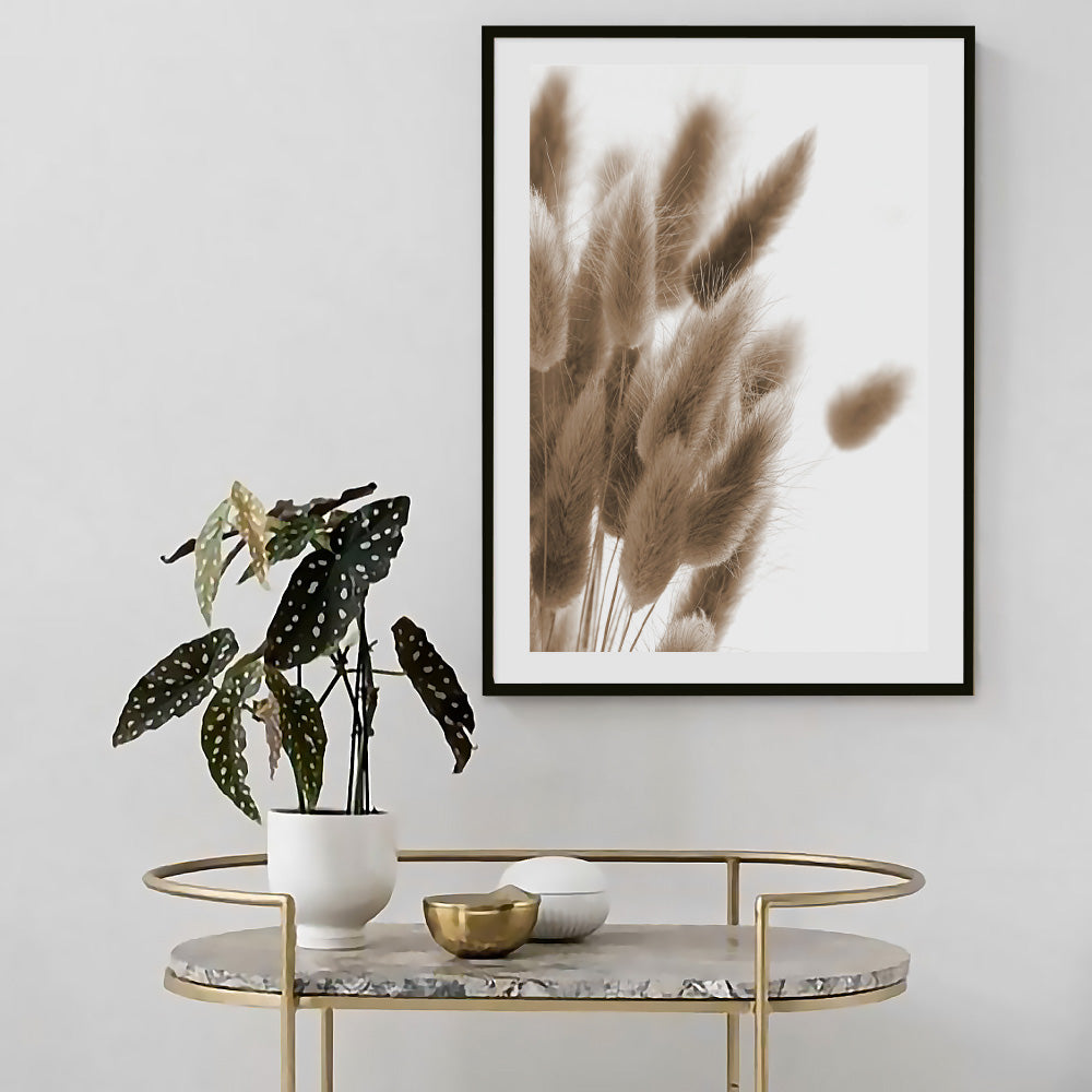 Poster Plume