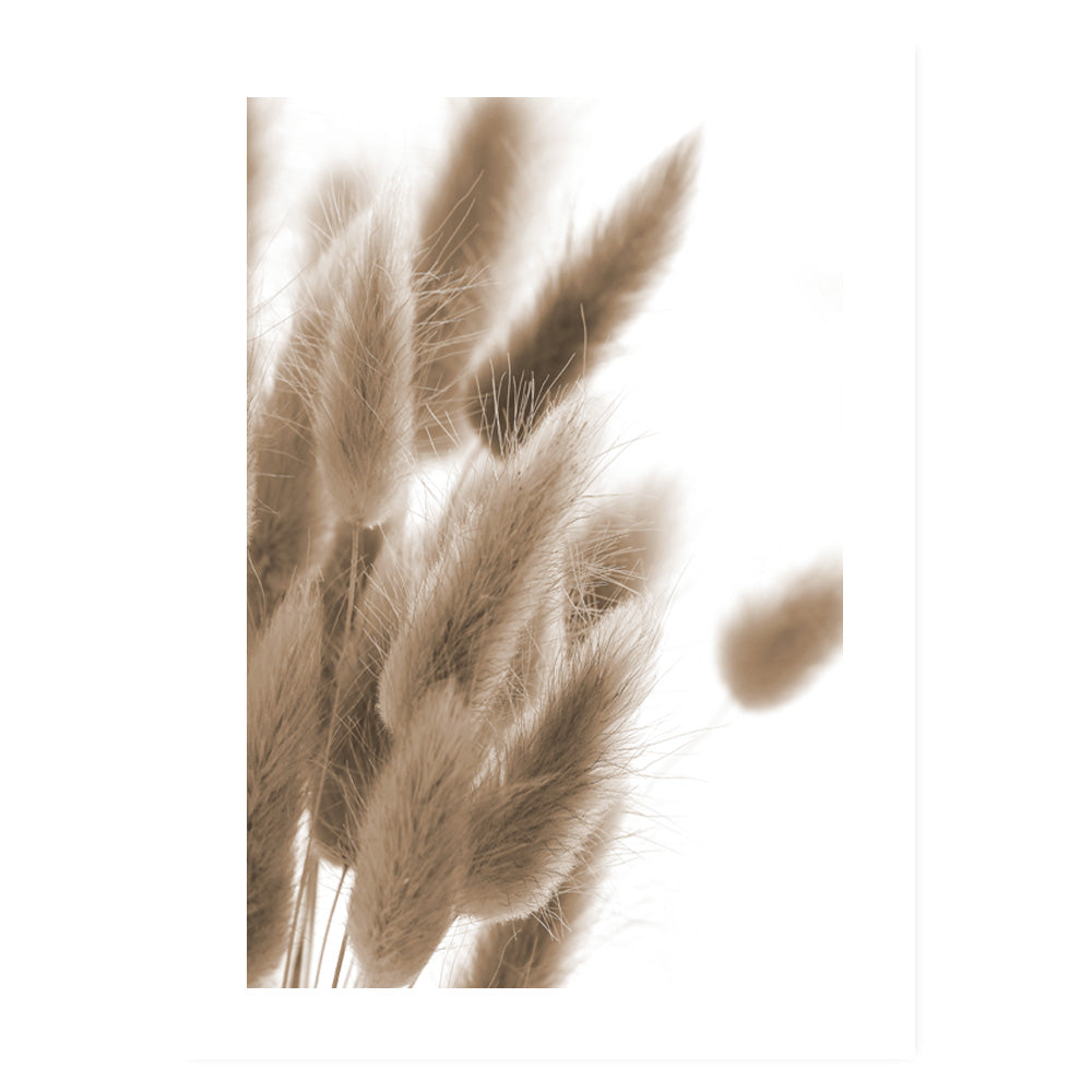 Poster Plume