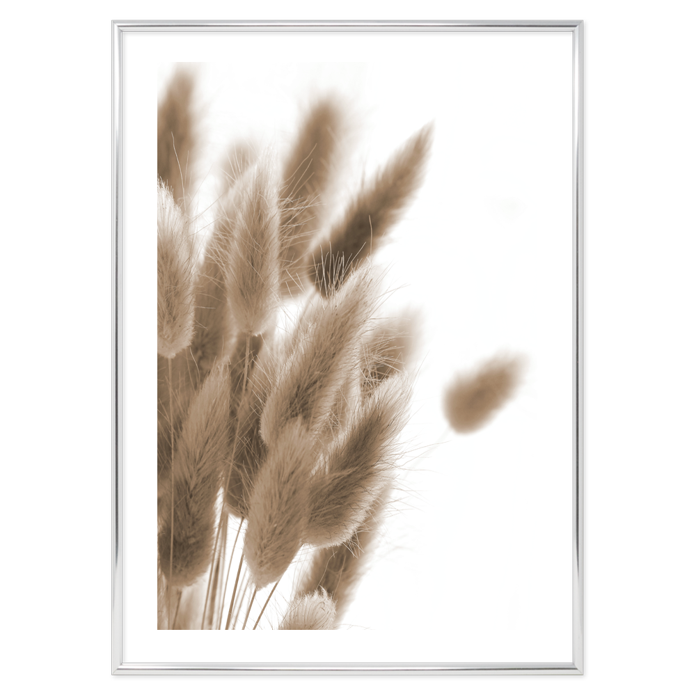 Poster Plume