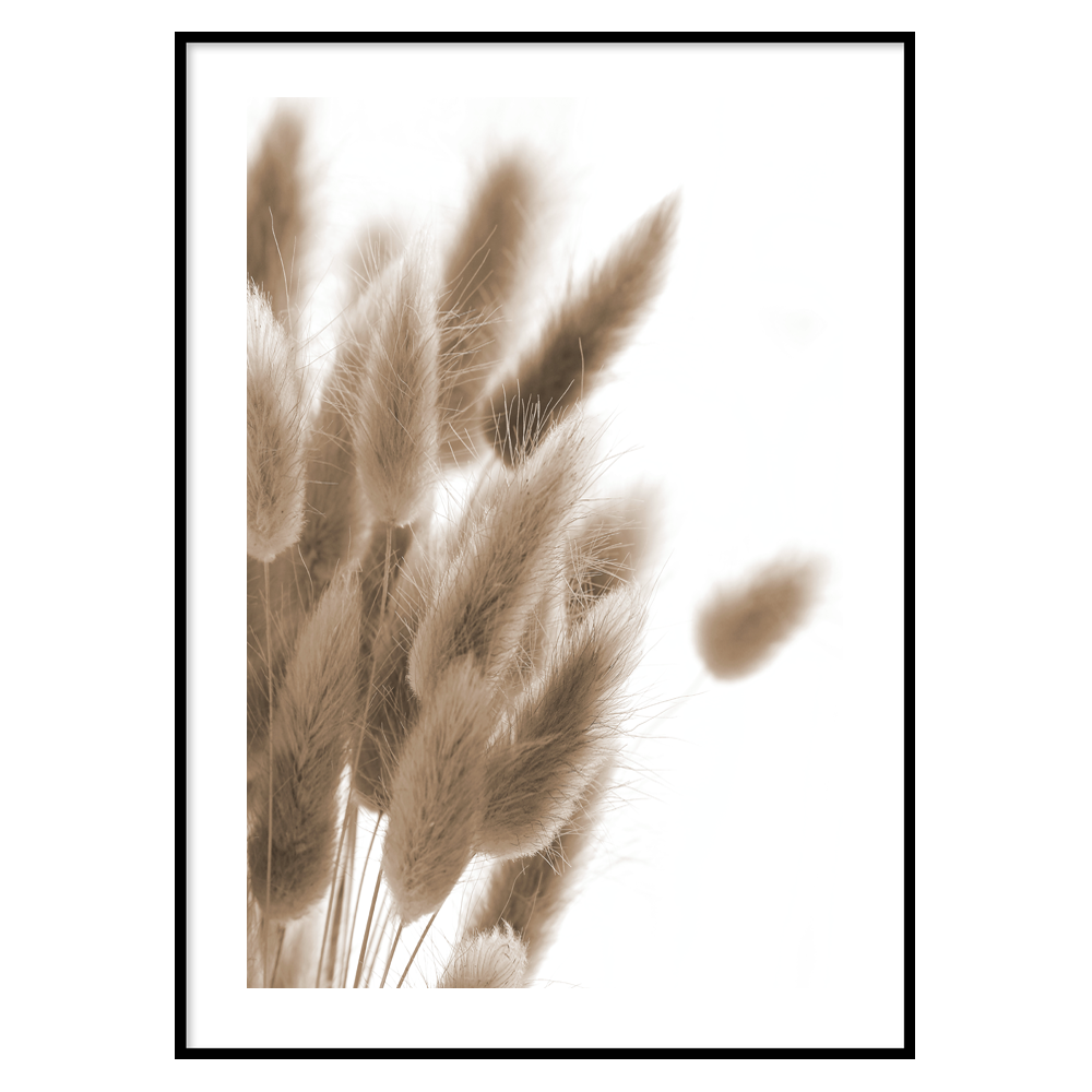 Poster Plume