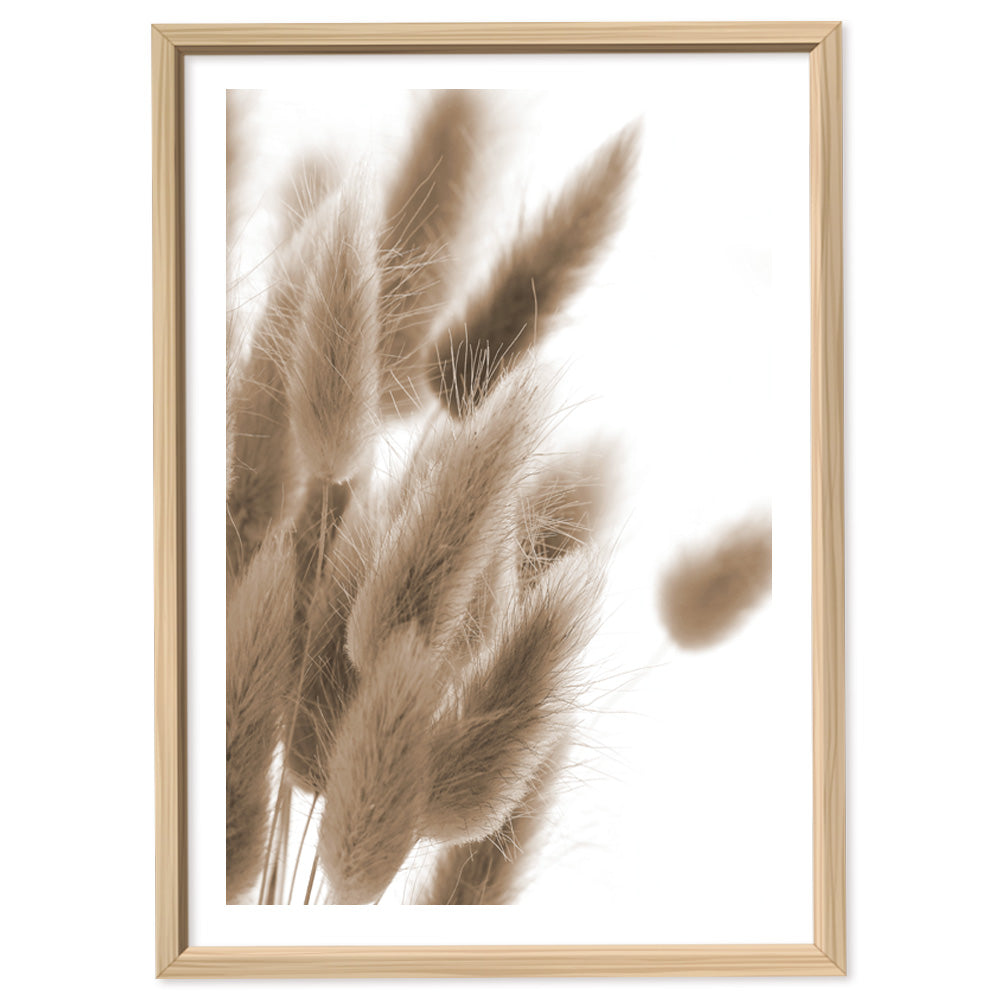 Poster Plume