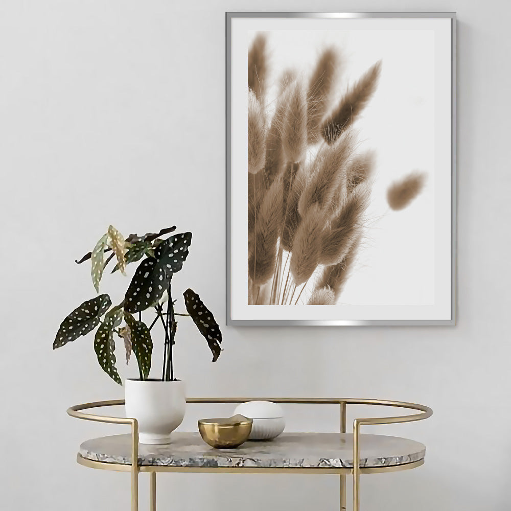 Poster Plume