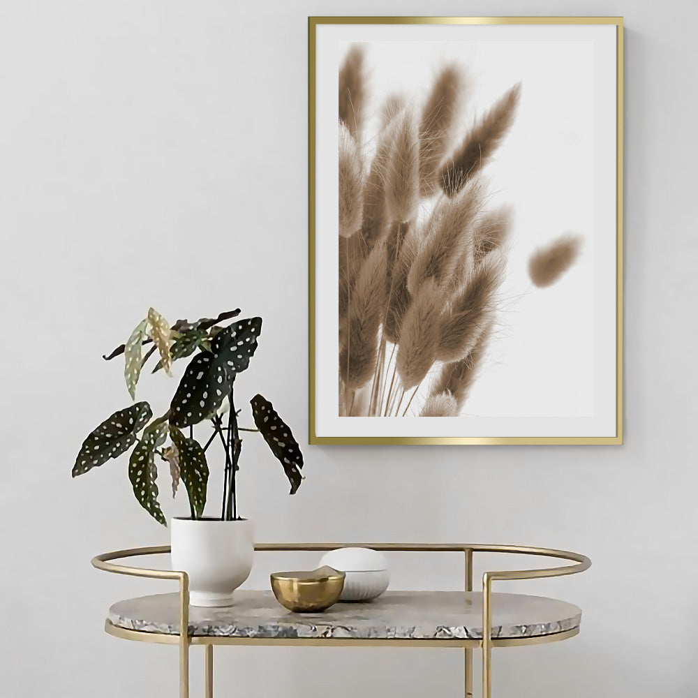 Poster Plume