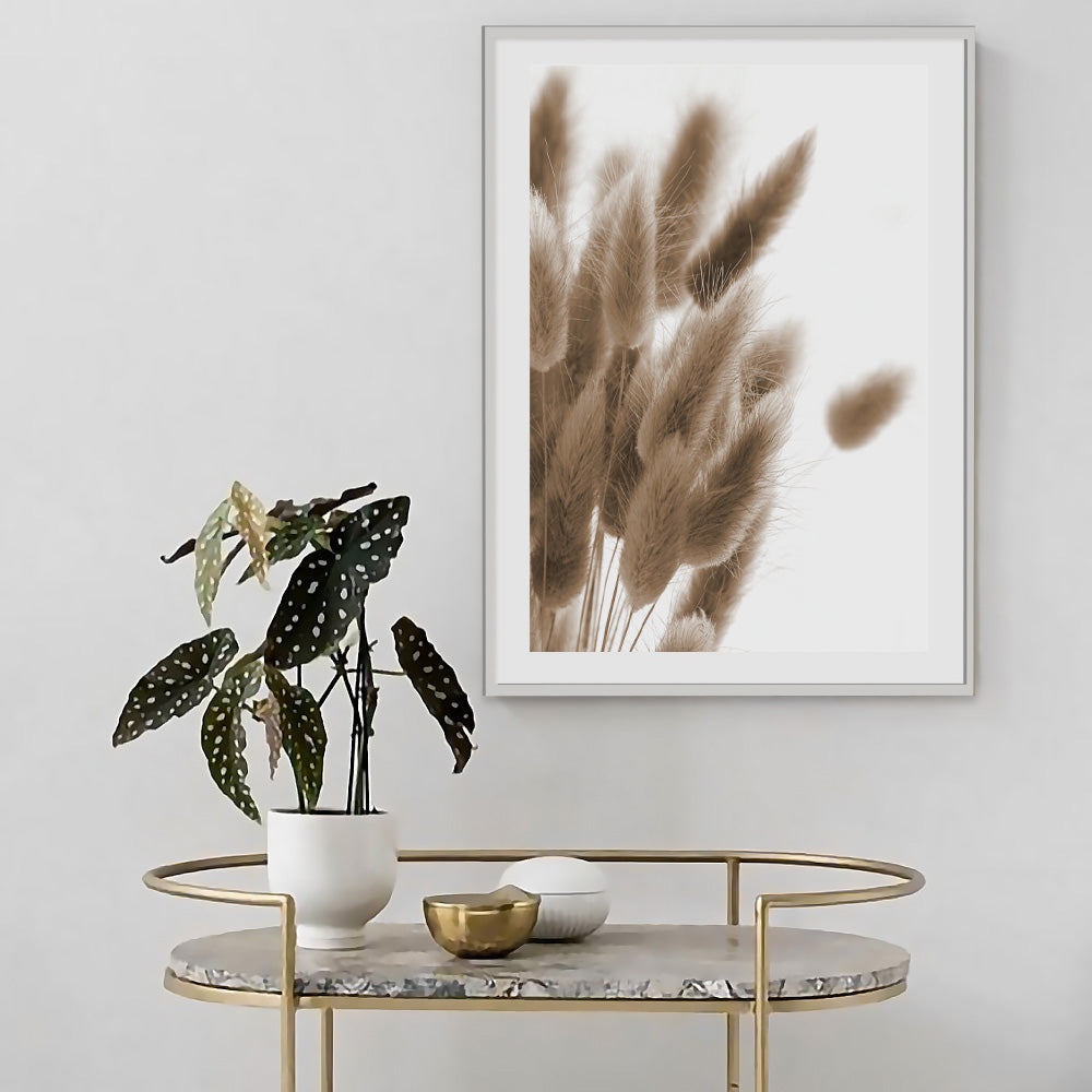 Poster Plume