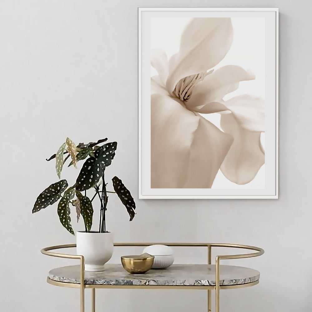 Poster Petal