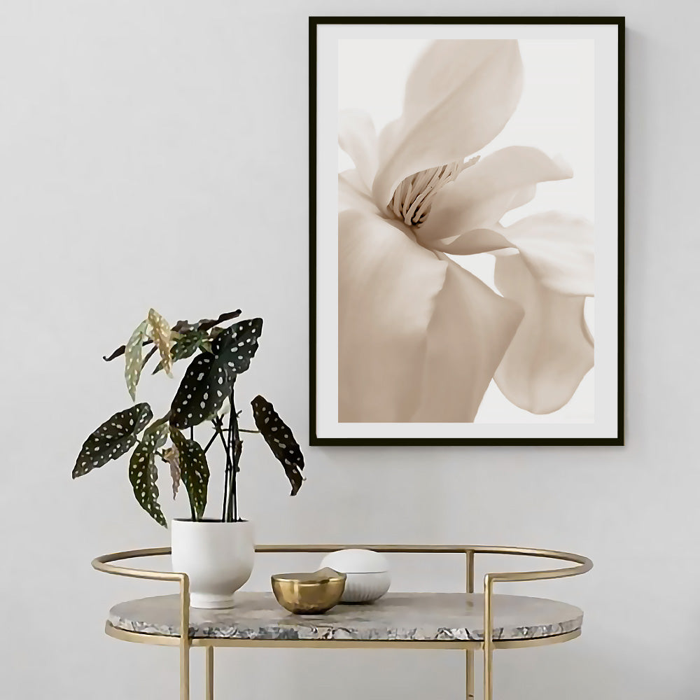 Poster Petal