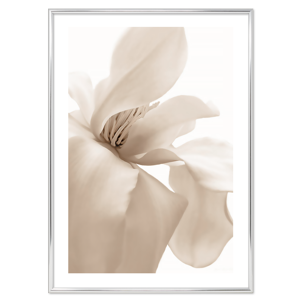 Poster Petal