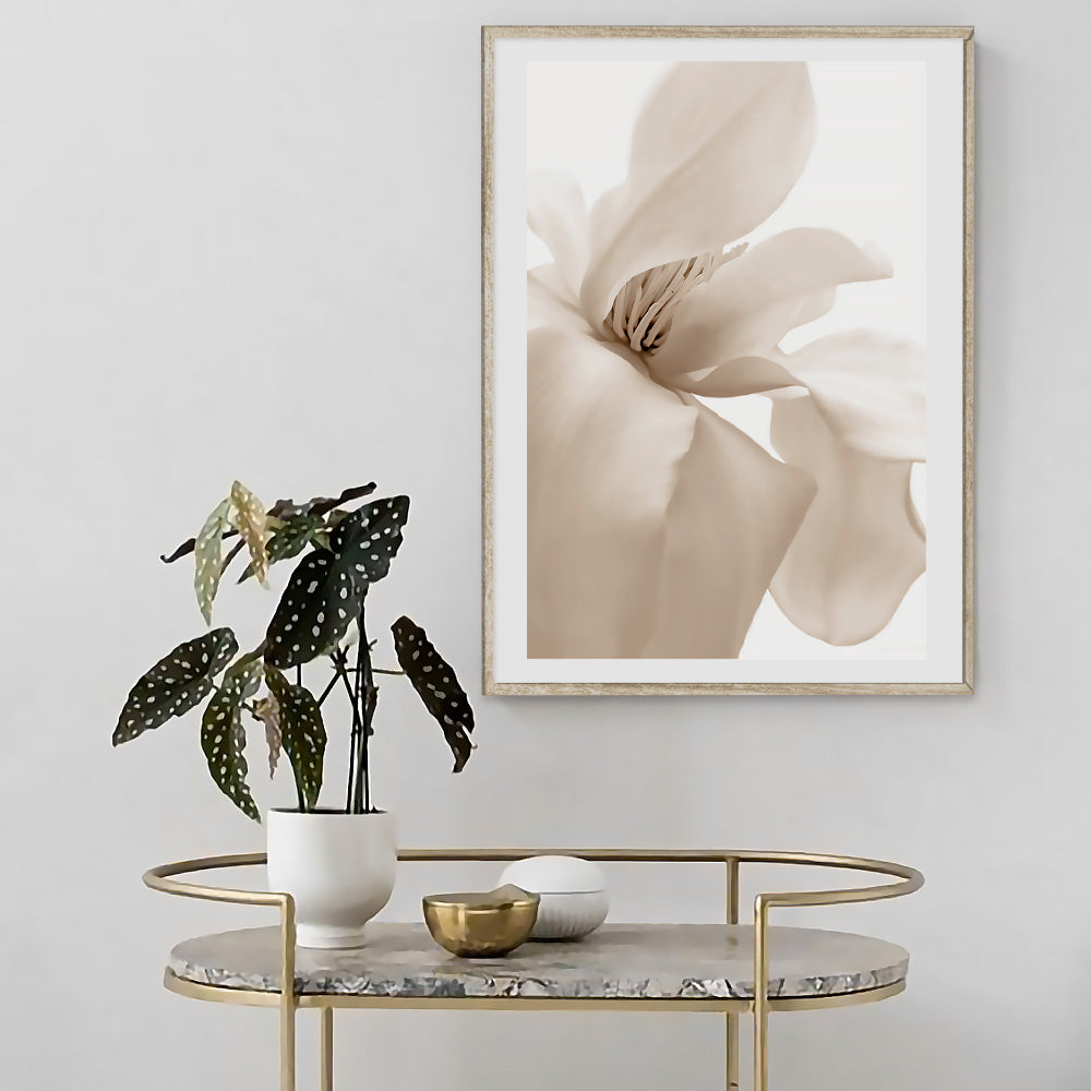 Poster Petal