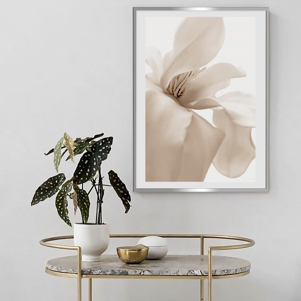 Poster Petal
