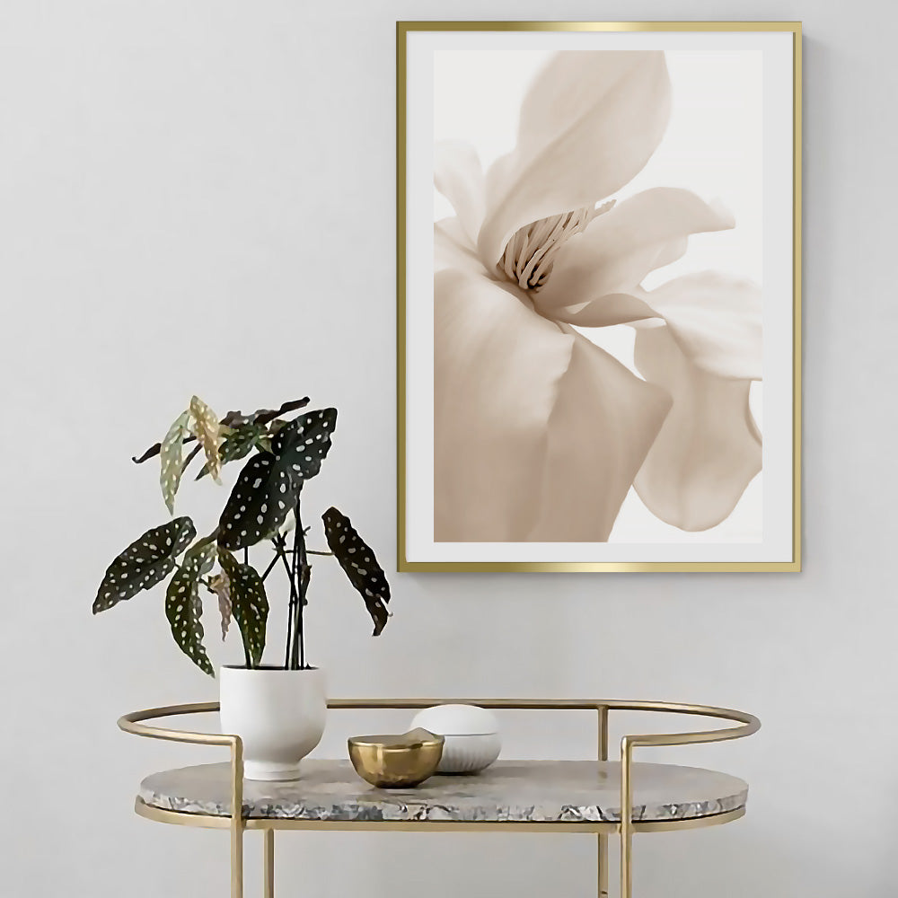 Poster Petal