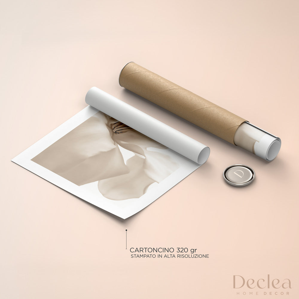 Poster Petal