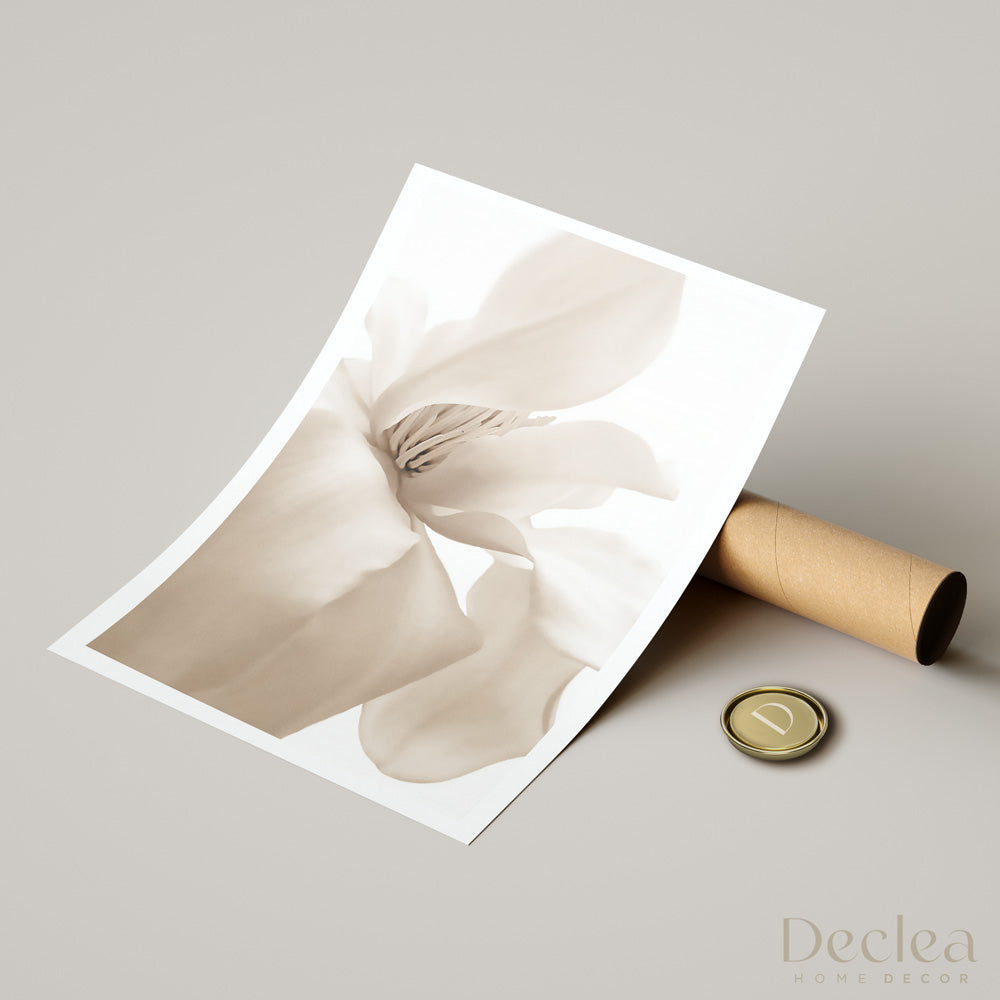 Poster Petal