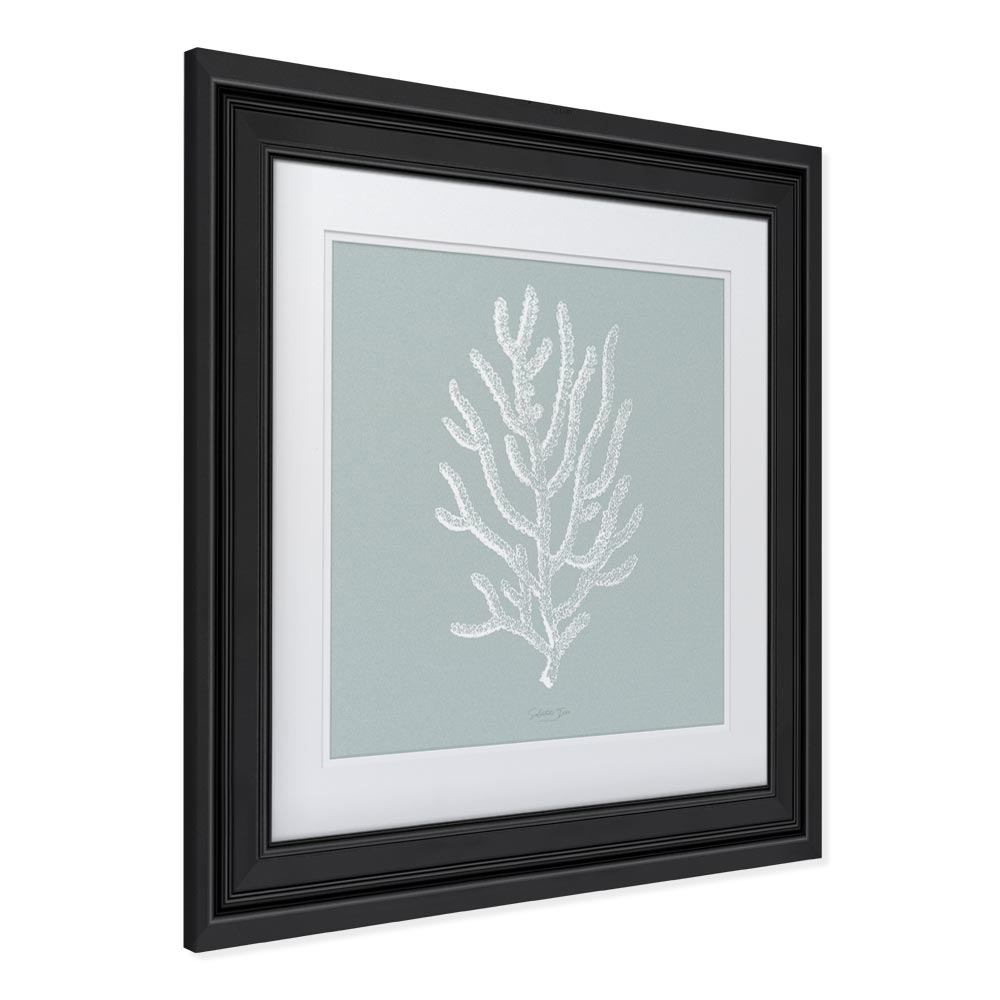 Quadro Agropora Effetto Cornice