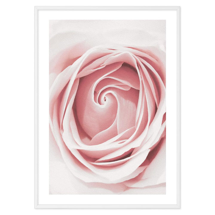 Poster Floreale Rosa