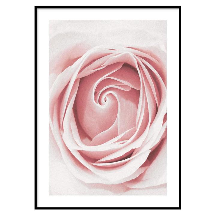 Poster Floreale Rosa