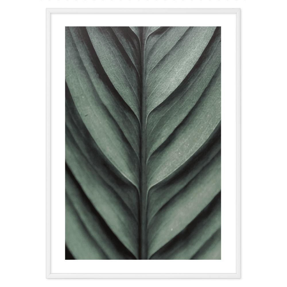 Leaf detail poster