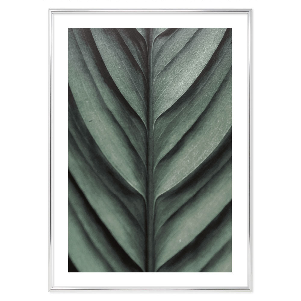 Leaf detail poster