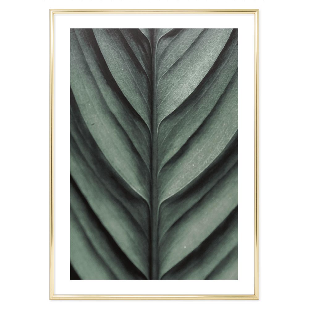 Leaf detail poster