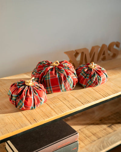 Set Pumpkin Christmas Zucche