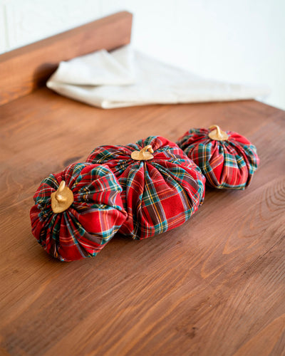 Set Pumpkin Christmas Zucche