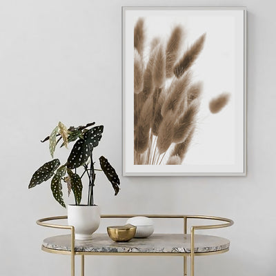 #colore_cornice-bianca