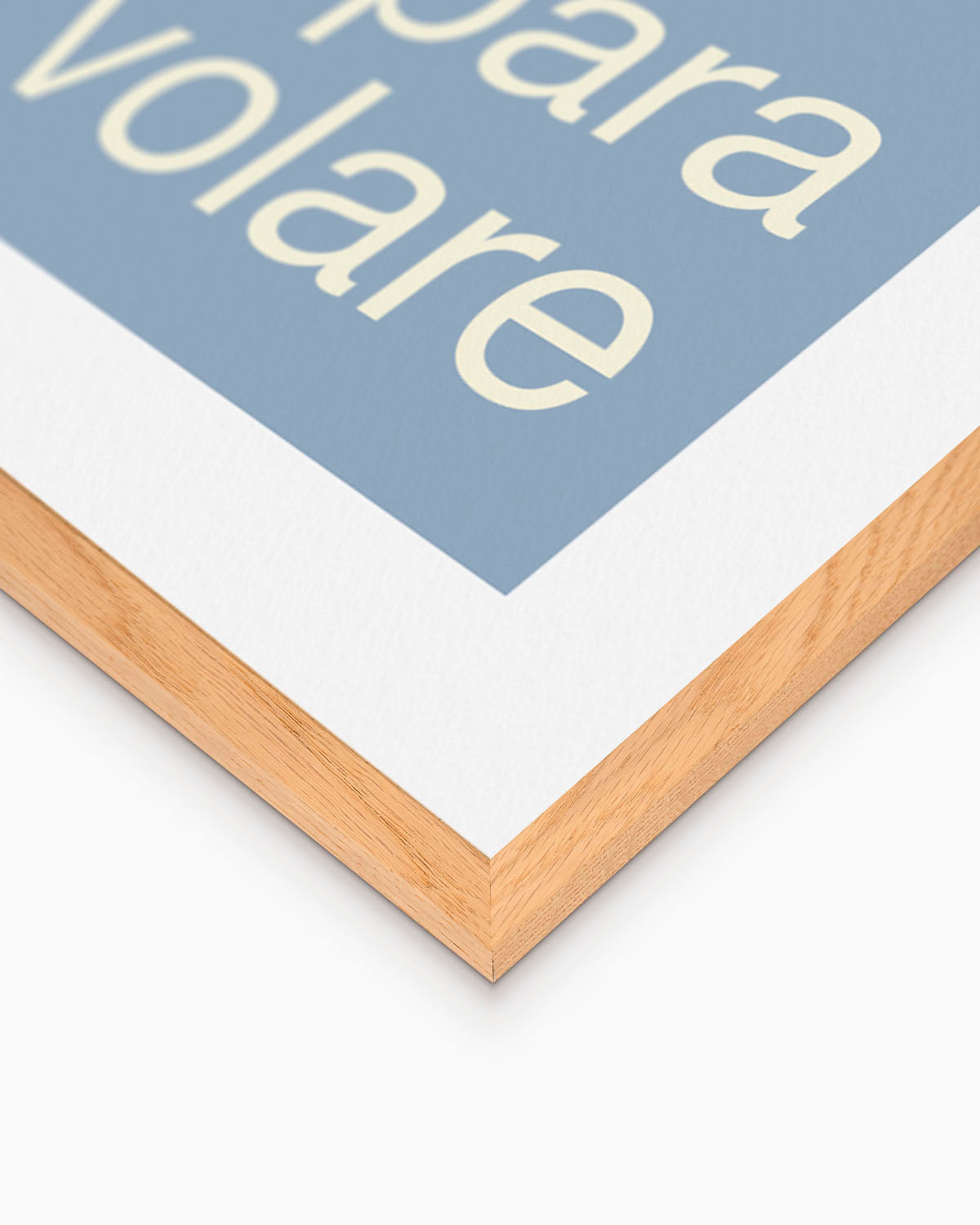 Poster Solo chi sogna impare a volare
