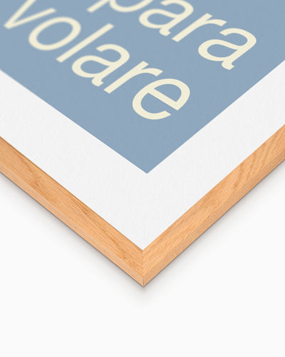 Poster Solo chi sogna impare a volare