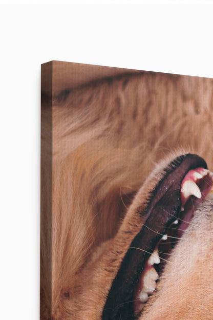quadro con stampa personalizzata idea regalo, stampa la foto su un quadro in tela 