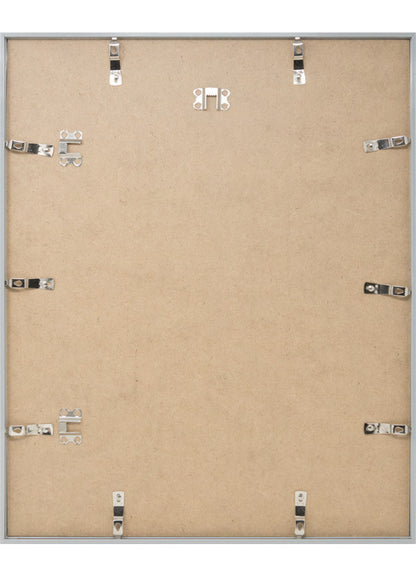 Poster Cactus