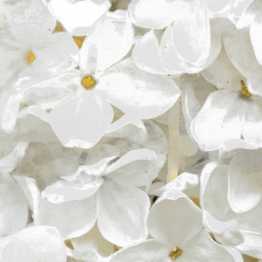 Quadro motivo floreale bianco