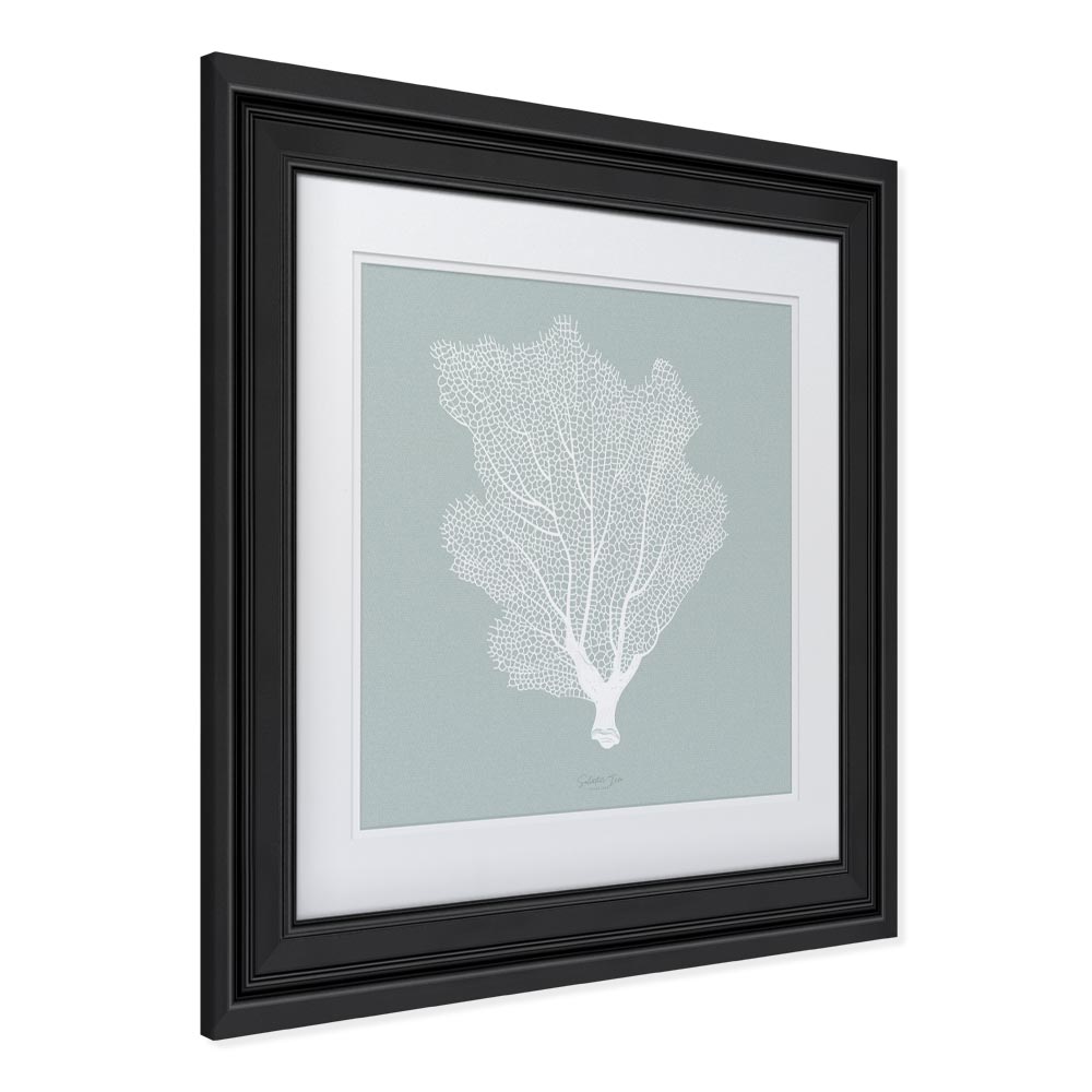 Gorgonian picture with frame effect