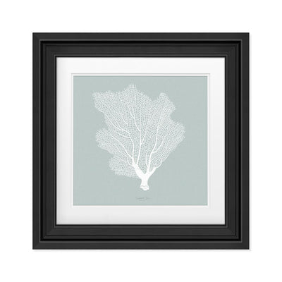 Gorgonian picture with frame effect