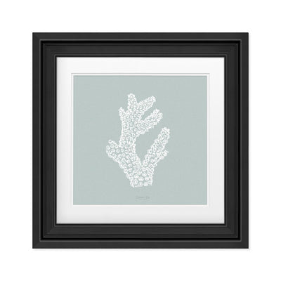 Quadro Milepora Effetto Cornice