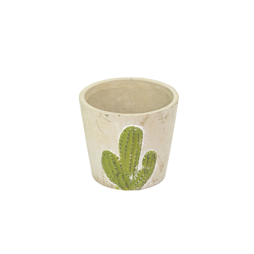 Vaso in cemento con cactus
