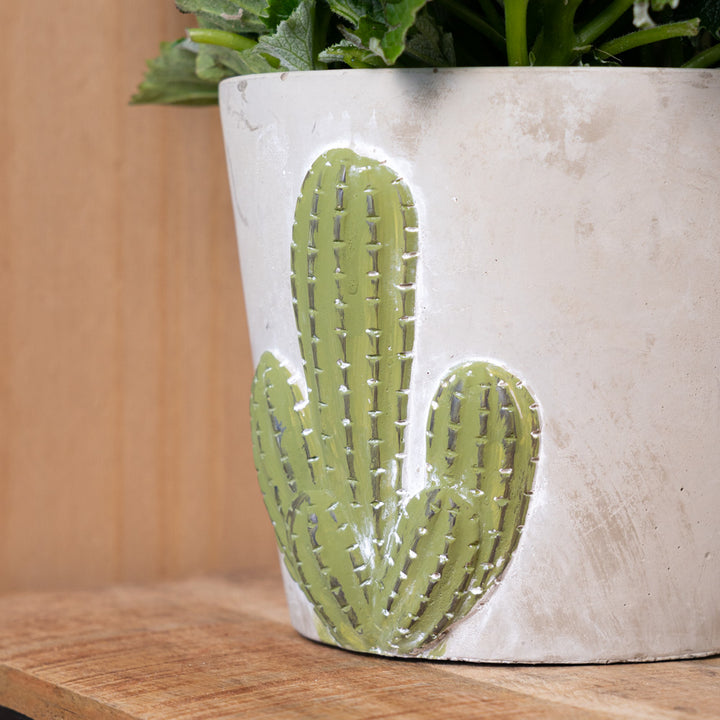 Vaso in cemento con cactus