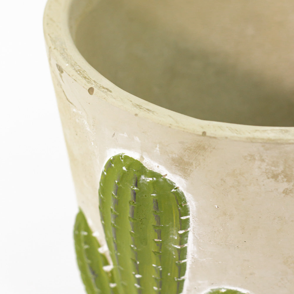 Concrete vase with cactus