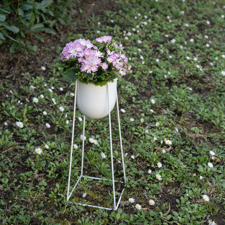 Modern planter with white iron structure