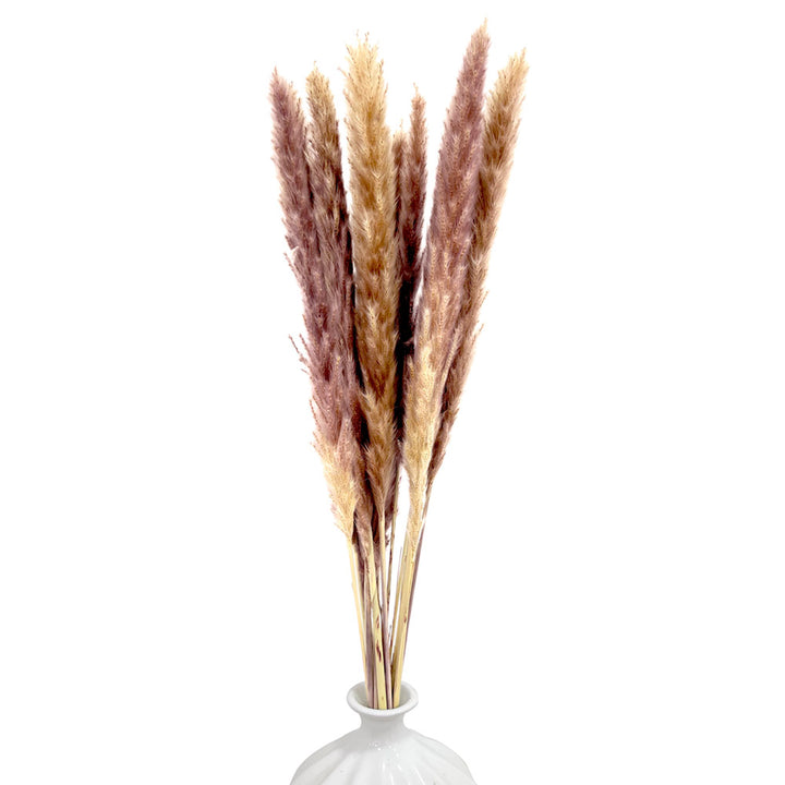 Mazzo di pampas Marroni