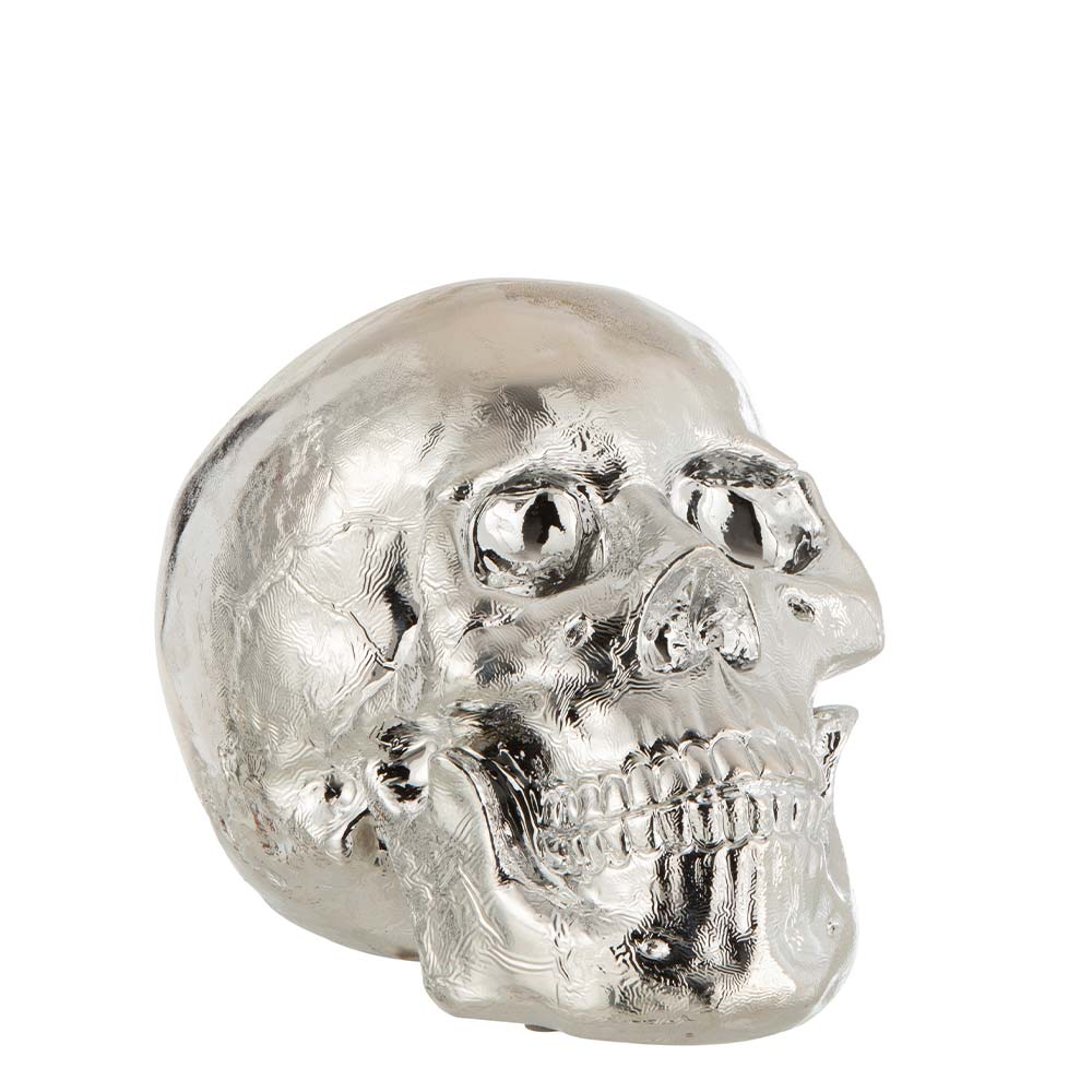 Chromed silver skull