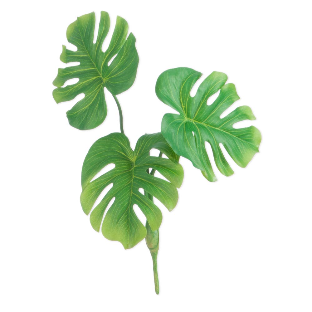 Green Leaf in Plastic