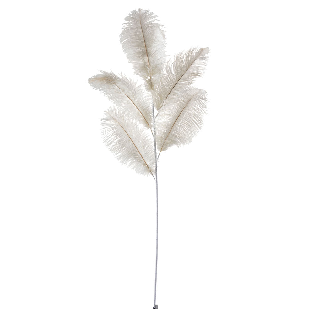 Ostrich feather Cream white 5 branches