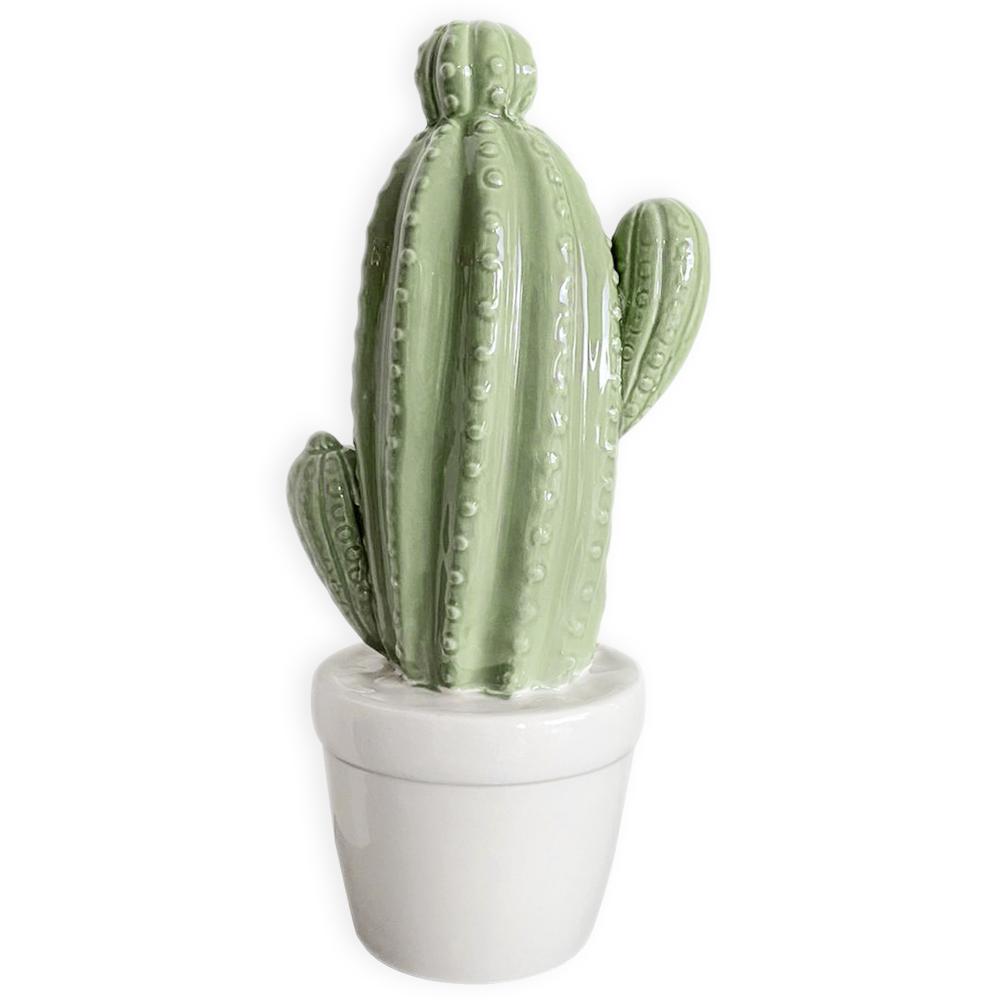 Decorazione in ceramica cactus Verde Chiaro