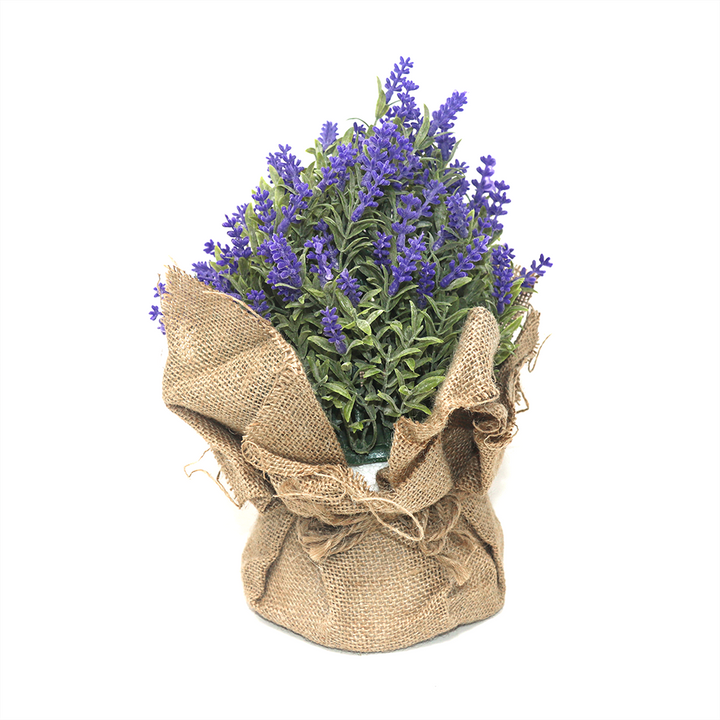 Lavender in pot with jute