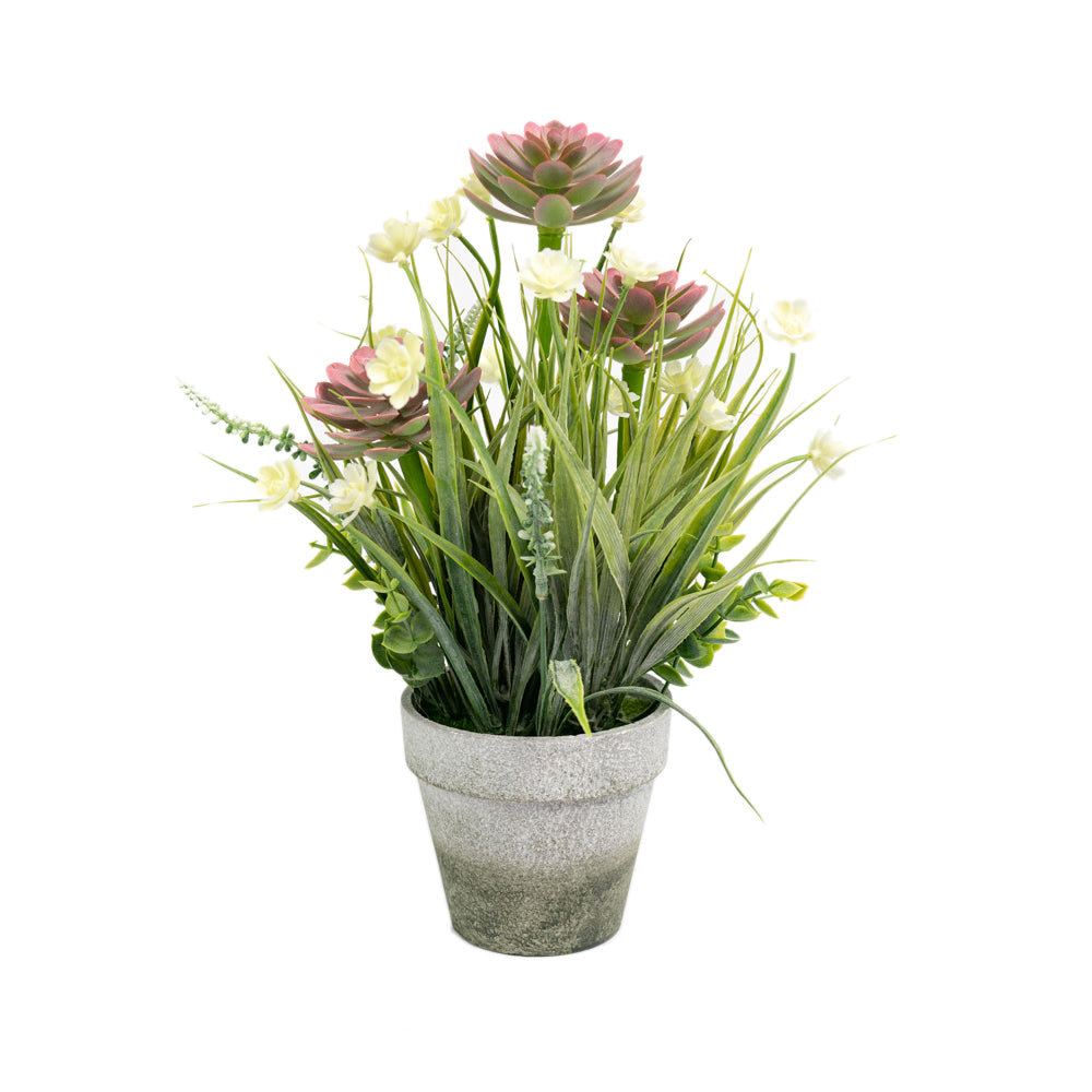 Vase with seedlings