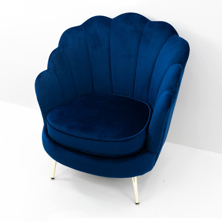 Shell armchair in blue velvet