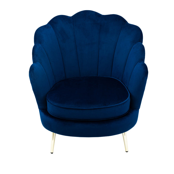 Shell armchair in blue velvet
