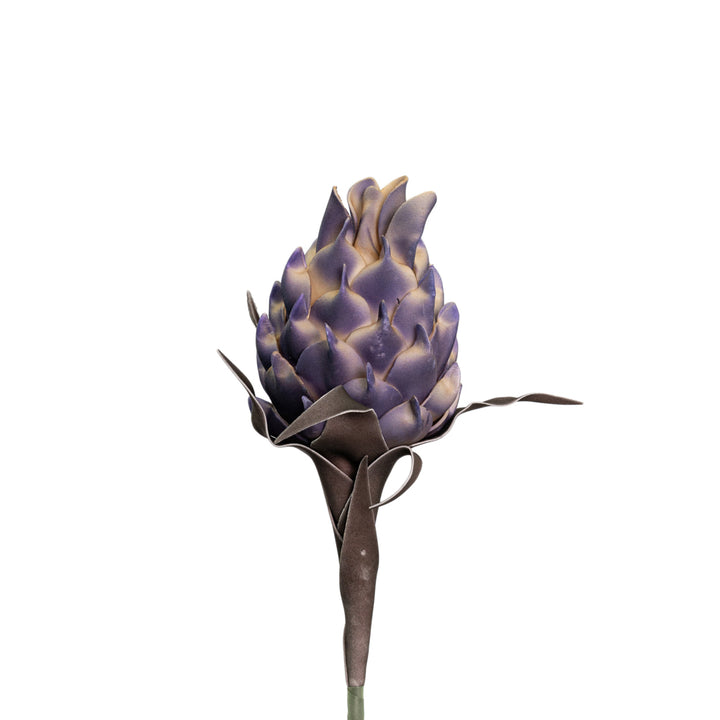 Pitaya flower