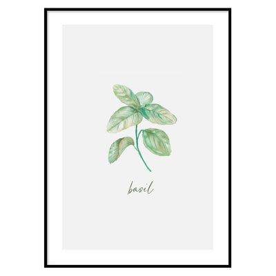 Poster Basil